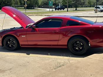  Salvage Ford Mustang
